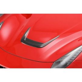 Ferrari F12 - Novitec Carbon Fibre Inset For Engine Bonnet (N-LARGO version) buy in USA