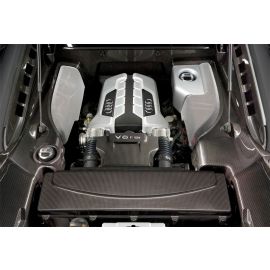 Audi R8 (V8/V10) - DMC 'Leggera' Carbon Fiber Engine Panels (6 pieces) buy in USA