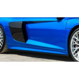 CD Carbon Sideblades kompatibel mit Audi R8 V10 4S buy in USA