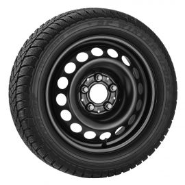 Steel wheel black, Continental, ContiWinterContact TS 830 P MO, 205/55 R16 91H, Winter, Q44011111018 buy in USA