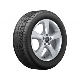 5-spoke wheel, vanadium silver, Goodyear, Efficient Grip Performance, 225/55 R17 101V XL, summer, Q4402914101100J2021 buy in USA