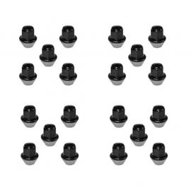 Ford Racing 15-18 Mustang Black Lug Nut Kit (20 Lug Nuts) buy in USA