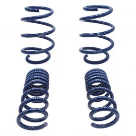 Ford Racing 2015-2017 Mustang GT350 Lowering Springs buy in USA