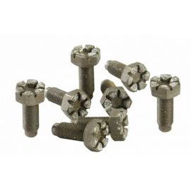 Ford Racing 4.6L Manual Flywheel Bolts buy in USA