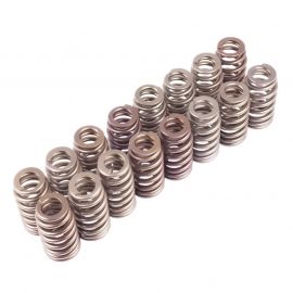 Ford Racing BOSS 302R Valve Spring Kit buy in USA