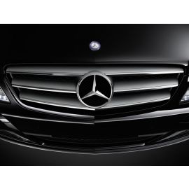 A63988000839775 Mercedes-Benz Viano 639 Kühlergrill chrom / silber buy in USA