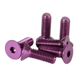 NRG Steering Wheel Screw Upgrade Kit (Conical) - Purple buy in USA