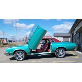 Vertical Doors Buick Regal 1978-1987 buy in USA