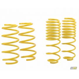 mountune Sport Spring Set 2014-2015 Fiesta ST buy in USA