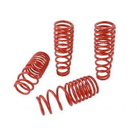 Skunk2 96-00 Honda Civic Lowering Springs (2.50in - 2.25in.) (Set of 4) buy in USA