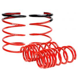 Skunk2 02-04 Acura RSX Lowering Springs (2.25in - 2.00in.) (Set of 4) buy in USA