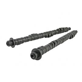 Skunk2 Pro Series 2 Honda S2000 F20C/F22C Camshafts buy in USA