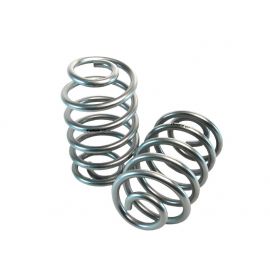 Belltech MUSCLE CAR SPRING SET 92-96 IMPALA/CAPRICE/ REAR buy in USA