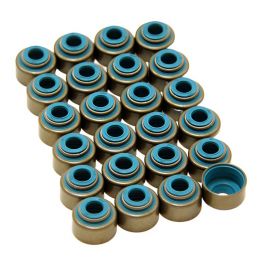 GSC P-D Nissan VQ35DE Viton 5.5mm Valve Stem Seal Set buy in USA