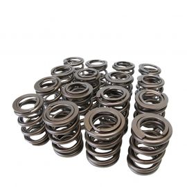 Skunk2 Tuner Series Honda/Acura (B16A/ B17A/ B18C) DOHC VTEC Alpha Valve Spring Set (Dual Springs) buy in USA