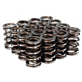 Skunk2 Pro Series Honda/Acura B-Series VTEC XP Valve Spring Set (Dual Springs) buy in USA