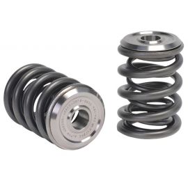 Skunk2 Alpha Series Honda/Acura B Series Valve Spring and Titanium Retainer Kit buy in USA