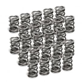 Supertech BMW M50/M52/S50/S52 Dual Valve Spring - Set of 24 buy in USA