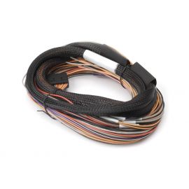 Haltech IO 12 Expander Box 8ft Flying Lead Harness (A/B Box) buy in USA