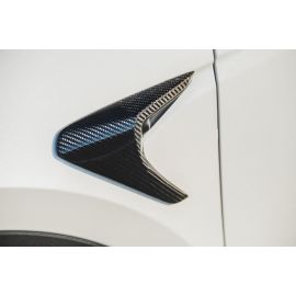 Tesla Model Y Carbon Fiber Camera Cover buy in USA