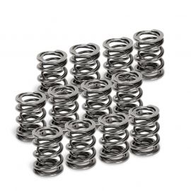 Supertech VW VR6 Dual Valve Spring - Set of 12 buy in USA