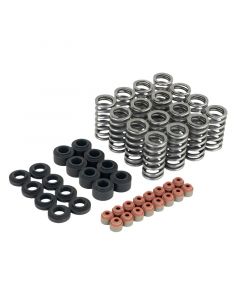 Skunk2 Honda L15B7 Ultra Valve Springs and Spring Base Kit buy in USA