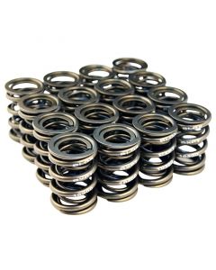 BLOX Racing Valve Springs for B18A-B / B20 (1.8L-2.0L DOHC) buy in USA