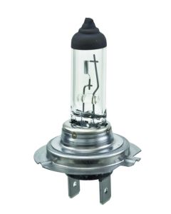 Hella Halogen H7 Bulb buy in USA