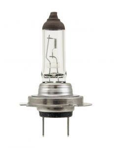 Hella Bulb H7 12V 70W PX26d T4.625 buy in USA