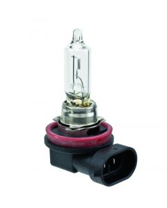 Hella Bulb H9 12V 65W PGJ19-5 T4 buy in USA