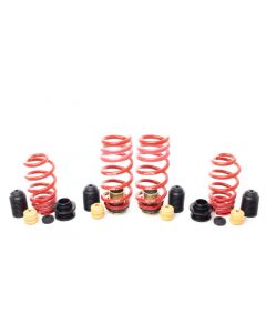 H&R 20-23 Audi RS6 Avant VTF Adjustable Lowering Springs buy in USA