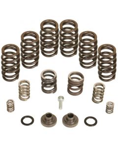 BD Diesel Governor Spring Kit 4000rpm - 1994-1998 Dodge 12-valve/P7100 Pump buy in USA