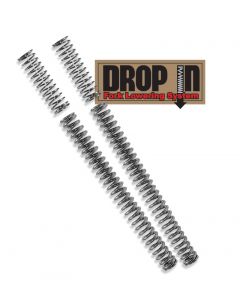 Progressive 10-2002 Drop In Fork Lwrng Kit buy in USA