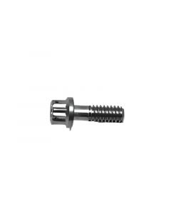 Wilwood Stainless Steel Rotor Bolt - 12pt 1/4-20 X .75 L buy in USA