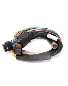 Haltech Elite 1500 8ft Basic Universal Wire-In Harness (Excl Relays or Fuses) buy in USA