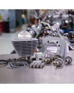 S&S Cycle 00-21 Sportster Models 883cc to 1200cc Hooligan Kit - Silver buy in USA