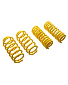 ST Sport-tech Lowering Springs Chevrolet Impala Caprice Sedan / Buick Roadmaster Sedan buy in USA