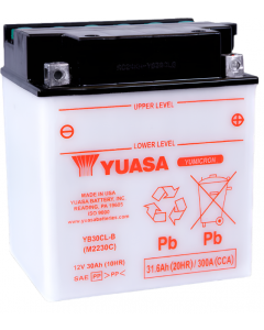 Yuasa YB30CL-B Yumicron CX 12 Volt Battery buy in USA