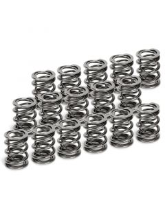 Supertech Honda H22A1/H22A4 Dual Valve Spring - Set of 16 buy in USA