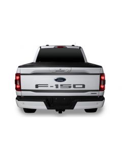 Putco 2021 Ford F-150 Ford Lettering (Cut Letters/Black Platinum) Tailgate Emblems buy in USA