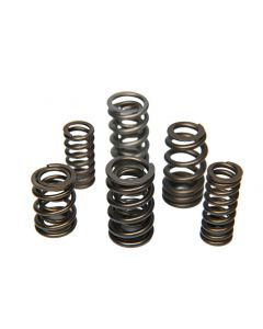 Ferrea Nissan RB26 Dual Valve Spring - Set of 24 buy in USA