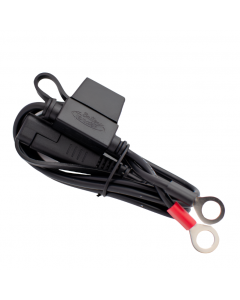 Ring Terminal Accessory Cable buy in USA