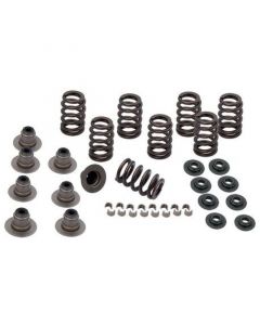 S&S Cycle 2017+ M8 Models Valve Spring Kit - .605in buy in USA