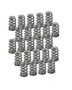 Supertech BMW N54 Conical Valve Springs - Set of 24 buy in USA