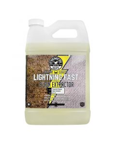 Chemical Guys Lightning Fast Carpet & Upholstery Stain Extractor - 1 Gallon buy in USA