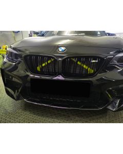 Exon Front Grille V-Brace Trim Cover Yellow for BMW M2 inc. Competition F87 & M3 F80 / M4 F82 buy in USA