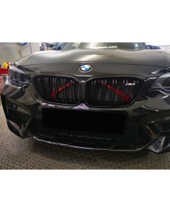 Exon Front Grille V-Brace Trim Cover Red for BMW M2 inc. Competition F87 & M3 F80 / M4 F82 buy in USA