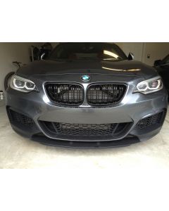 Exon Gloss Black M3/M4 Style Twin Slat Grille for BMW 2-Series F22/F23 buy in USA