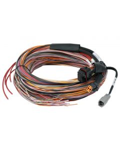 Haltech PD16 Flying Lead Harness 5M buy in USA