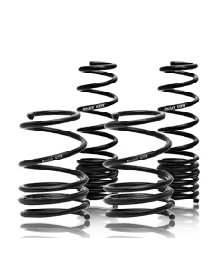 Swift Spec-R Springs: Evo 8/9 MR 2005-2007 buy in USA